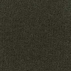 Ковролин Radici Admiral Fango 1302 фото 1 | FLOORDEALER